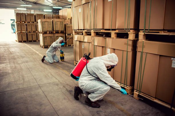 Best Best Pest Control Companies  in Essex, MD