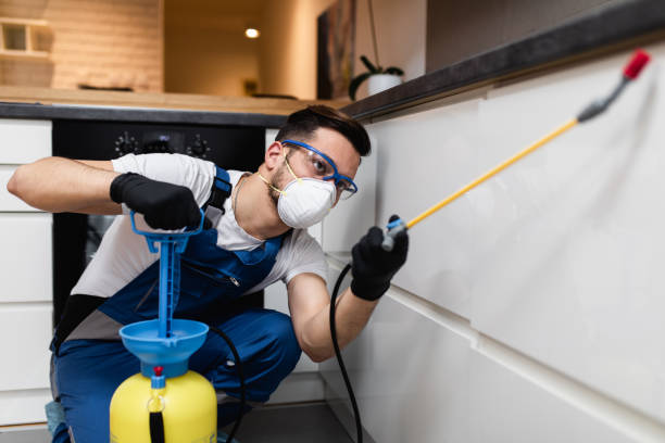 Best Termite Control Services  in Essex, MD