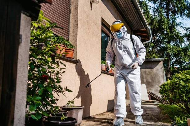 Best Pest Prevention Services  in Essex, MD