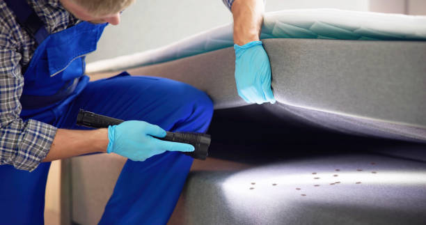 Best Bed Bug Extermination  in Essex, MD